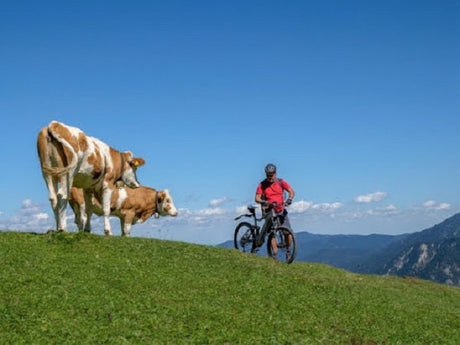 Überwinde Steile Bergstraßen Mühelos Und Sicher Mit Dem E Bike Herren