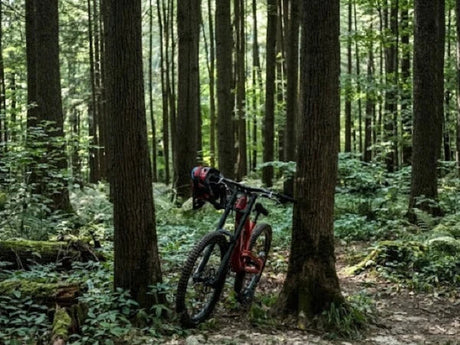 Was Können 8 ENGWE E Bike Modelle Auf Schotter Und Waldwegen Leisten?