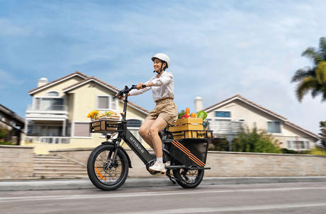 Welche Route auf dem Mulde Radweg passt am besten zu Ihnen