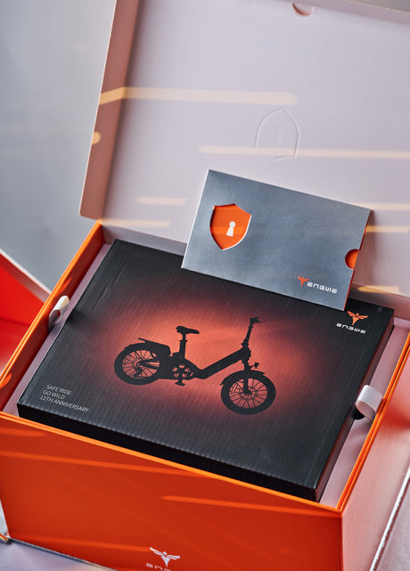 12. Jubiläums-Geschenkbox (Gratisgeschenk beim Kauf eines E-Bikes)