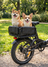 Hinterrad-Fahrradkorb-Set