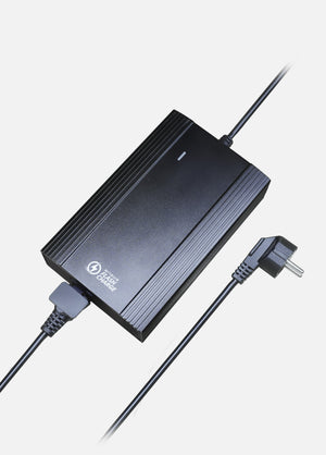 LE20 Schnellladegerät