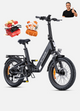 E-Lastenrad