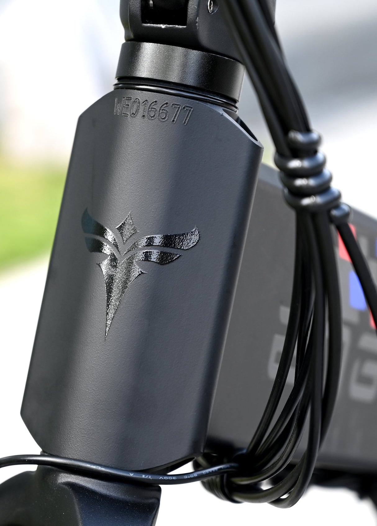 Engwe Engine x Rahmen